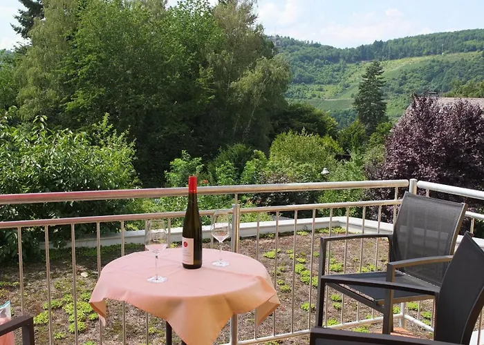 Bioweingut Brohl 아파트 푼데리크